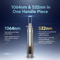 Appareil de rajeunissement cutané au laser picoseconde esthétique multicolore 300ps à double longueur d'onde (1064/532nm) pour l'élimination des tatouages