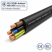 Câble électrique YC YCW 4x4mm, 4 conducteurs, 450V, cuivre, robuste, basse tension, IP44, industriel, pour centrale électrique, triphasé