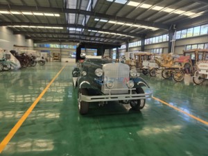 Meilleur prix en 2026 : Vente directe d'usine de voitures électriques classiques vertes de haute qualité - Product Image 6