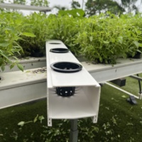 Système hydroponique NFT commercial MGS NFT Channel PVC Grow Pipe pour projets agricoles de légumes-feuilles