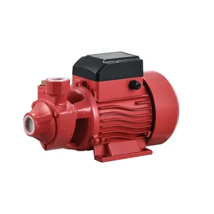 QB-60 Series High Flow High Efficiency Electric 370w 0.5hp Self Priming Water Pump