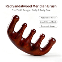 Peigne de massage multi-professionnel en bois de santal pour méridiens, masseur facial en bois personnalisé avec logo pour la maison, emballage sur mesure