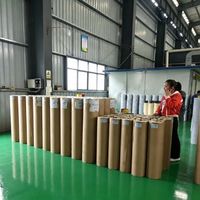 Film de protection PE pour profilés en aluminium, rouleau de film plastique, film étirable, protection de surface, fournisseur direct d'usine, vente en gros