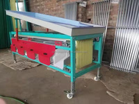 Efficiënte palmformaat sorteermachine voor dadels en UAE-dadels, fruit- en groentesorteermachine voor kersen en bessen.