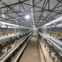 Solution clé en main pour ferme avicole de 250 000 poulets – Équipement d'élevage de poulets de chair entièrement automatique pour grande installation commerciale de poulets de chair