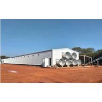 Edificio de Estructura de Acero de Diseño Moderno, Casa Prefabricada, Granja Avícola Automatizada