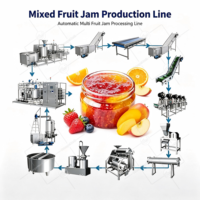 ORME Aanpasbare Fruitjam Productielijn Kleine, Middelgrote en Grote Capaciteit Tomatenpuree, Bessen, Mango, Ananas, Gemengde Jam Machine