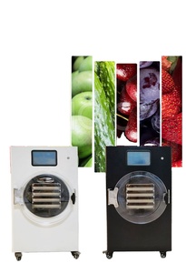 Machine de lyophilisation commerciale en acier inoxydable 304, haute efficacité, prix compétitif, moteur pour aliments, légumes, fruits - Product Image 2