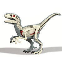 Kit de modèle de squelette de stégosaure 3D, dinosaure à assembler soi-même, anatomie du tyrannosaure, jouet éducatif STEM pour enfants