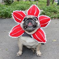 Haustier-Kopfbedeckung für Katzen und Hunde, Fleischfressende Pflanzen-Transformation, Ausgefallener Hut, Halloween-Kostüm-Dekoration, Luxuriöser Haustier-Cosplay-Hut