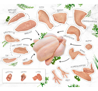 Fournisseur Grossiste Chinois de Poitrine, Aile et Cuisse de Poulet Frais Surgelé