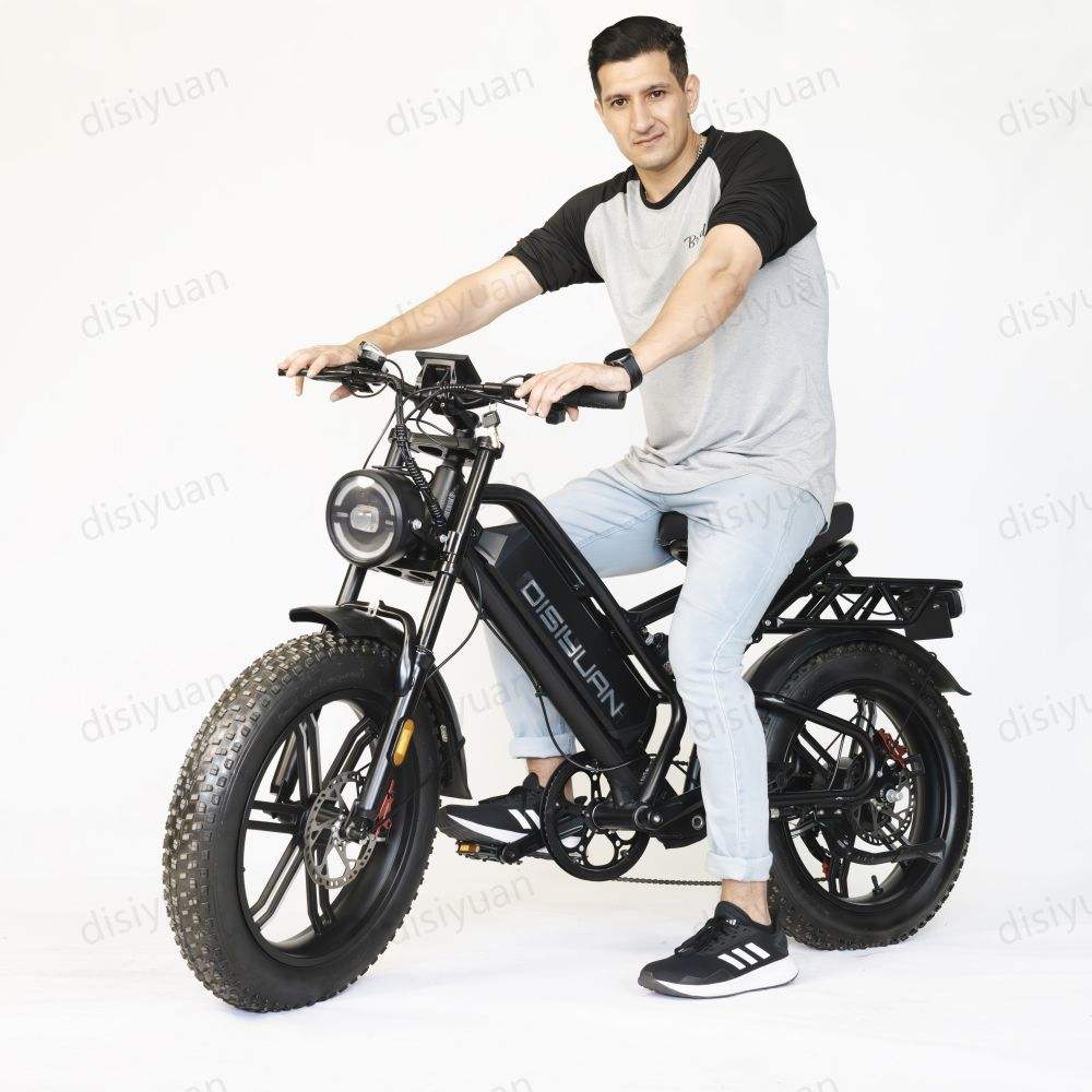 Xiongying Electric Bike CO High Performance E-Bikes