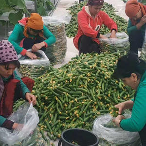 سعر منخفض نفق 200 Micron بلاستيك Po فيلم الدفيئة المستخدمة في الخس الطماطم نظام الزراعة المائية السعر - Product Image 4