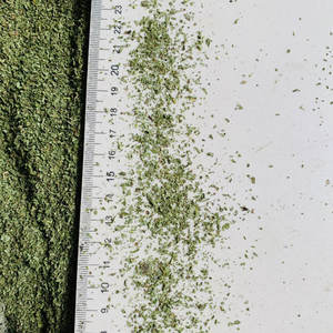 Teh Daun <span class=keywords><strong>Peppermint</strong></span> Kering Siap Pakai, Daun Mint Kering Alami, Teh Herbal, Teh Herbal Cina, Granul <span class=keywords><strong>Peppermint</strong></span>, Daun <span class=keywords><strong>Peppermint</strong></span> Lepas - Product Image 5