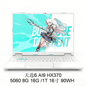 Ordinateur portable de jeu Tianxuan 6, 16 pouces, HX370, 5060, 8 Go de RAM, 16 Go, 1 To de disque dur, système Windows - Product Image 2
