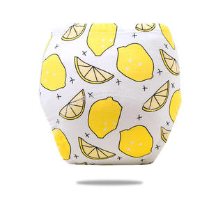 Pañales Reutilizables y Lavables para Bebé, Pantalones Ecológicos para el Entrenamiento para Ir al Baño, Pañal de Tela Impermeable de Algodón - Product Image 3