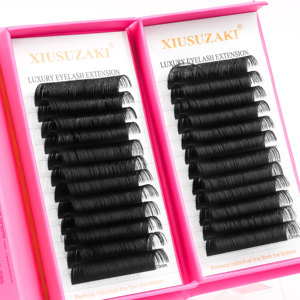 Korean PBT Custom Private Label Faux <strong>Mink</strong> Individual Lashes Supplies Lash Trays Classic Cashmere Volume <strong>Eyelash</strong> <strong>Extension</strong> - Product Image 4