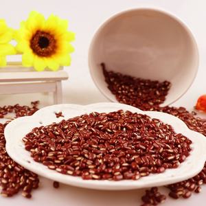 Chi Xiao Dou doğal saf yüksek kalite kırmızı Vigna bambu fasulye Phaseolus calcarred kırmızı fasulye - Product Image 3