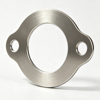 Plaque de fixation pour pompe hydraulique en acier inoxydable découpée au laser sur mesure, avec joint à bride irrégulière à deux trous