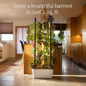 Jardinière de jardin verticale Gardyn de style ferme lampe à LED système de jardinage de bureau intérieur pour la décoration intérieure pour une application <span class=keywords><strong>extérieure</strong></span> - Product Image 2