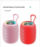 Haut-parleur Bluetooth portable sans fil 5W avec lumière RGB, radio FM, lecteur de carte TF, lecteur USB, basses riches, pour la randonnée en plein air