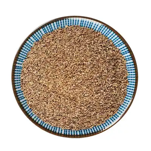 Di Fu Zi Kochia-Samen Chinesische Kräutermedizin Hochwertige Getrocknete Rohe AD-Granulate Kochia Scoparia L. Schrad Frucht Gesundheitsgewürze - Product Image 4
