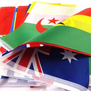 Fournisseur de drapeaux en polyester personnalisés de 14 x 21 cm pour les guirlandes de drapeaux - Product Image 4