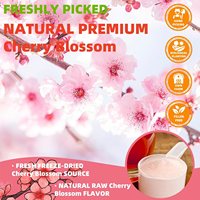 100% poudre de fleur de cerisier naturelle pure en gros poudre d'extrait de Sakura