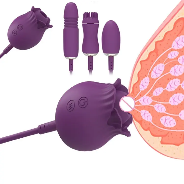 Oeuf à Double Tête de Fleur de Rose 3 en 1, Vibrateur à Sucer, Produit de Sexe Adulte pour Masturbation Féminine