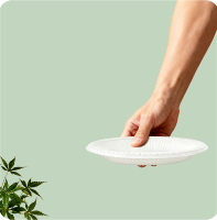 Assiettes jetables robustes et écologiques de 7, 8, 9, 10x10 pouces, personnalisables en usine, compatibles micro-ondes, pour burritos et fêtes