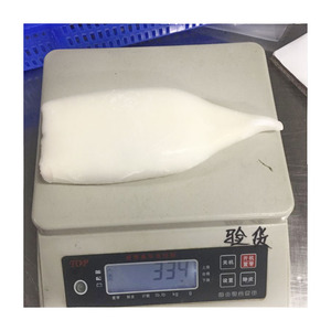 <span class=keywords><strong>Precio</strong></span> de Tubos de <span class=keywords><strong>Calamar</strong></span> <span class=keywords><strong>Fresco</strong></span> U4 U5, Empaque a Granel, <span class=keywords><strong>Calamar</strong></span> Gigante Loligo Illex con Piel - Product Image 2