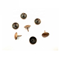 Clous décoratifs ronds en fer doré avec tête à capuchon et tige lisse pour meubles, canapés, matériaux de construction, emballés en carton