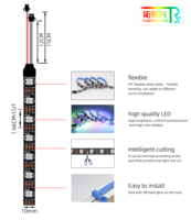 Tira de Luces LED Flexible WS2812B 5050RGB USB Epistar Programable y Direccionable de 30/60/144 LED con Control Remoto IP20-67 de SHENZHEN
