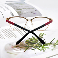 Lunettes rondes multicolores unisexes, accessoire de mode, sans bords, monture métallique optique