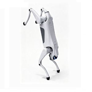 Robot intelligent tout-terrain avec construction en aluminium motorisée, capacité de franchissement d'escaliers - Product Image 4
