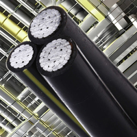Cable Triplex ABC 0,6/1 Kv 2X4 AWG XLPE/PE Aislamiento de PVC Aluminio ACSR Cable eléctrico superior compatible con ASTM para energía