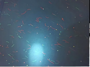 Tùy chỉnh chuyên nghiệp 100gram A4 giấy Trinh Nữ chống sao chép Tính năng thăng hoa UV An Ninh sợi giấy an ninh giấy UV sợi - Product Image 5