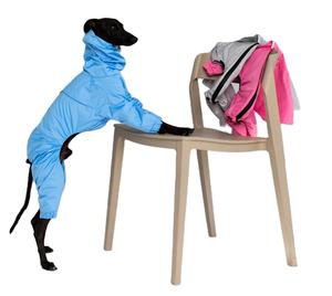 <span class=keywords><strong>Chubasquero</strong></span> para perros personalizado fabricante nuevo diseño elegante cómodo impermeable cálido ligero sudaderas con capucha impermeable <span class=keywords><strong>Galgo</strong></span> para mascotas - Product Image 1