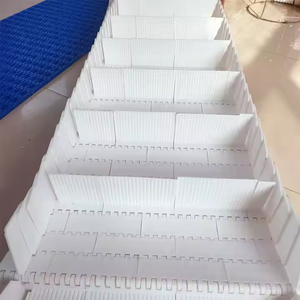 Sabuk Konveyor Modular Seri 900 dengan Jaring Plastik Berpalang dan Pelindung Makanan, Sabuk Konveyor Aliran Air dengan Plat - Product Image 4