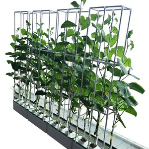 Machine de culture hors-sol pour balcon la plus vendue, idéale pour la culture de fruits et légumes (tomates, concombres, poivrons). - Product Image 1