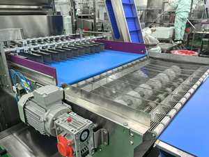 Máquina de envoltura de chocolate automática personalizable LST con aspersor de tuerca, arreglo de rollo de huevo para nueva condición, leche y fruta - Product Image 4