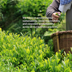 OEM organik anında kakao tozu organik kakao yaprağı ile YEŞİL ÇAY tören sınıf ince yeşil çay tozu toplu bitki çayı takviyesi - Product Image 4