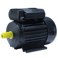 Moteur à induction monophasé YL-800-2 0,55 kW 0,75 CV 2800 tr/min, fil de cuivre pur à 100 %, haute efficacité, moteur électrique monophasé