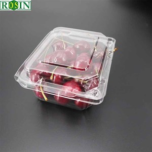 Customized Transparent Food Container PET Disposable Plastic Clamshell Hinged Box For Vegetable Fruit Packaging