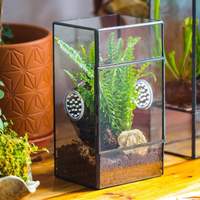 Aksesoris Kandang Tarantula Hewan Peliharaan Terarium Geometris Kecil Grosir, Kotak Akrilik Persegi Panjang, Kaca, Serangga Taman, Kotak Persegi Panjang