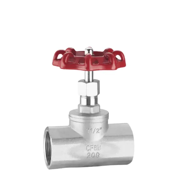 CF8M Nps 2Inch DN50 Olie Water Gas Stop B Type Pijp Controle Schroef End Afgesneden Globe Valve