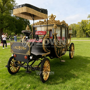 Chariot photo de mariage extérieur électrique noir mat doré, avec toit à franges, pneus antidérapants et alimentation au lithium - Product Image 3