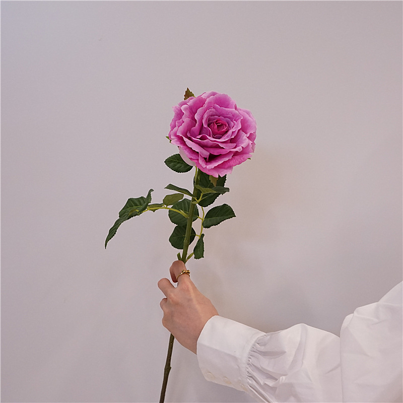 Rose garance