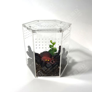 Yageli, fournisseur chinois, vente en gros, enclos pour reptiles en acrylique transparent hexagonal personnalisé, pour tarantules, uniquement pour l'exposition - Product Image 1