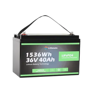 Factory Made Rechargeable 36v 40ah Cylindrical lithium Li-ion E boat marine battery packs with good quality BMS protection